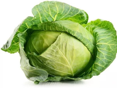 Quentova Green Cabbage-XLR Seed(75 per packet)