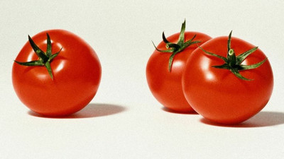 VRAKSHA Red Vegetables Tomatoes Seed(200 per packet)