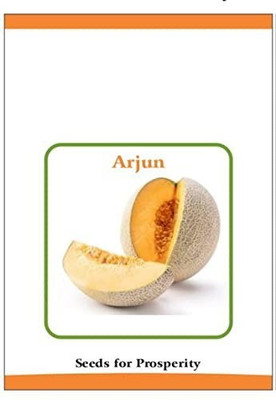 VibeX VXI-87 - Hybrid Muskmelon - (1350 Seeds) Seed(1350 per packet)
