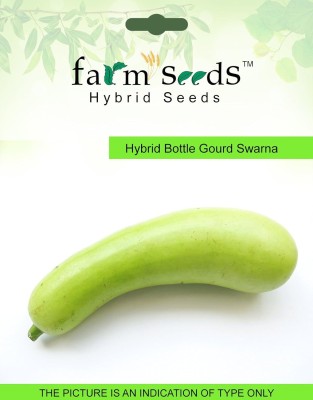 ActrovaX Hybrid Bottle Gourd Swarna 1 Packet [1600 Seeds] Seed(1600 per packet)