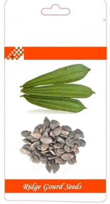 VibeX High Germination Ridge Gourd F1 Hybrid Seeds[500 Gms, 2500 Seeds] Seed(2500 per packet)