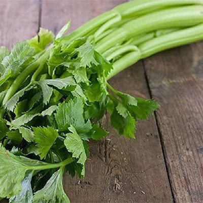VibeX XL-29 - Celery Tall Utah - (2250 Seeds) Seed(2250 per packet)