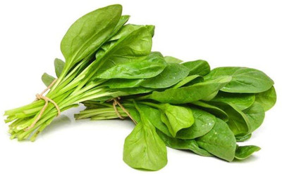 Qualtivate PUA-9A Spinach, Palak Seeds Seed(300 per packet)