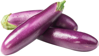CYBEXIS GUA-32 - F1 Hybrid Brinjal - (1350 Seeds) Seed(1350 per packet)