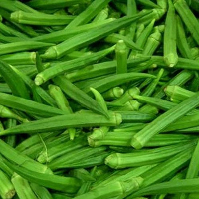 XOLDA Organic Okra Seed(15 per packet)