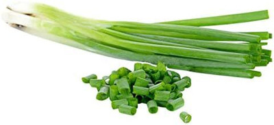 WILLVINE MEH -XIII Green Onion Seeds - Easy to Grow [2.5g] Seed(1500 per packet)