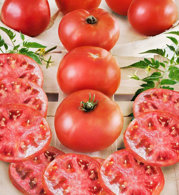 Qualtivate RES-6A Tomato Big Boy Seed(300 per packet)