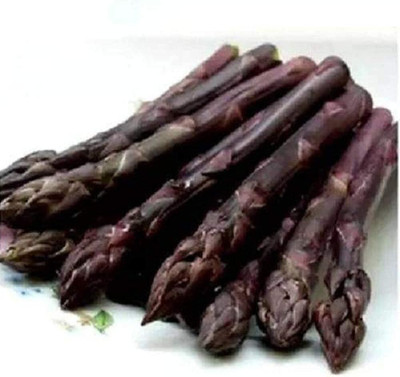 KNESSiN Asparagus Seed(30 per packet)