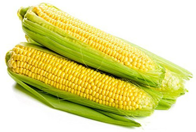 Qualtivate GBPT-6A Sweet Corn Seeds Seed(400 per packet)
