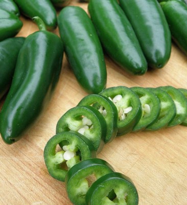 CYBEXIS Rare Jalapeno Hot Chilli Seeds2400 Seeds Seed(2400 per packet)