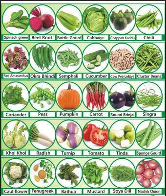 Cloud Farm 30 Varieties of Vegetable Seeds Combo Pack Seed(30 per packet)