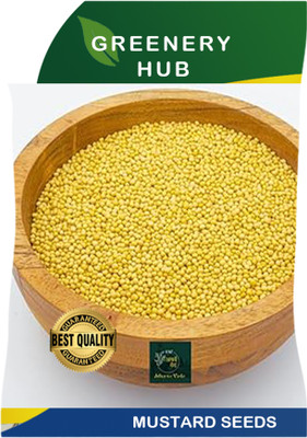 Greenery Hub Spicy Mustard Seeds for Small Gardens Seed(50 per packet)