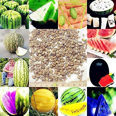 Qualtivate PUA-3A Mix Watermelon Seeds Seed(100 per packet)