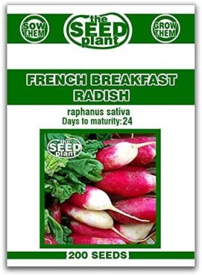 CYBEXIS NBIR-42 - French Breakfast Radish - (750 Seeds) Seed(750 per packet)