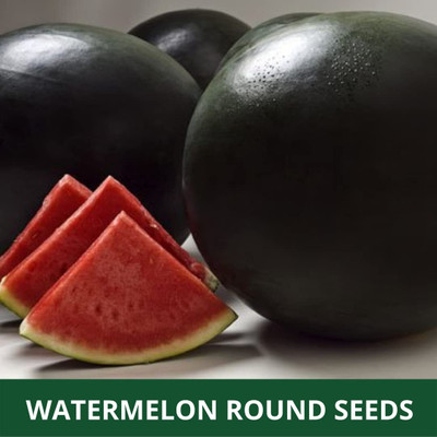 Qualtivate HUA-1A WATER MELON (ROUND SHAPED ) Seed(100 per packet)