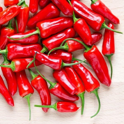 Biosnyg Open-Pollinated Hot Thai Chilli Seeds For Planting-(2000 Seeds) Seed(2000 per packet)