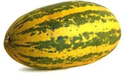 LPR CUCUMBER ,KHIRA Seed(275 per packet)