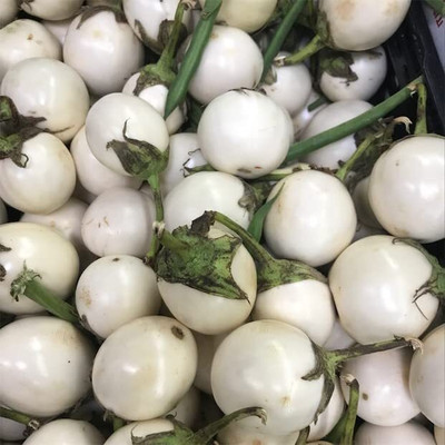 Aywal White Begun Seed(90 per packet)