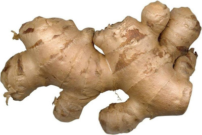 BDSresolve Ginger seeds for planting Pack of 11 Seed(11 per packet)