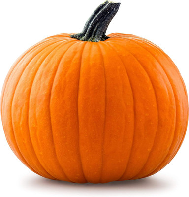 KNESSiN Early-Maturing Big Max Pumpkin Vegetable Seeds For Planting (60 Seeds) Seed(60 per packet)