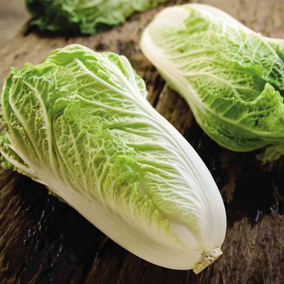 WILLVINE MAH -XVI Farm Chinese Cabbage Veg Seeds [2.5g] Seed(750 per packet)