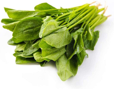 CYBEXIS Green Spinach Seeds for Planting Non-GMO Heirloom Easy to Plant2000 Seeds Seed(2000 per packet)
