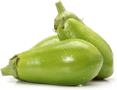KNESSiN Brinjal Green Eggplant Seed(1250 per packet)