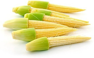 LPR BUTTA , SWEET CORN Seed(300 per packet)