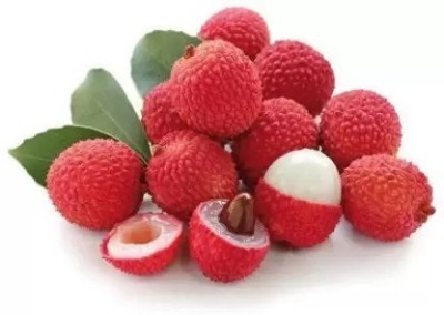 Chalisa Litchi, Lichi, Lychee Seed(28 per packet)