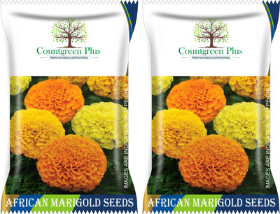 Countgreen Plus African Marigold Seeds Combo | High Germination Flower Seeds | Pack of 2 Seed(400 per packet)