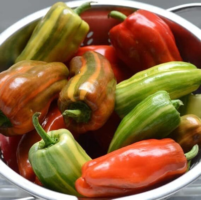 Biosnyg F1 Hybrid Candy Cane Red Cherry Pepper Seeds For Gardening-(2000 Seeds) Seed(2000 per packet)