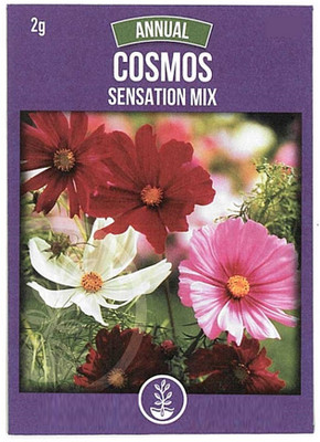 Biosnyg Cosmos Flower Seeds[100 Seeds] Seed(100 per packet)