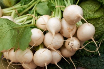 Quentova Organic White Ball Turnip/Shalgam-RAJ-9S Seed(250 per packet)