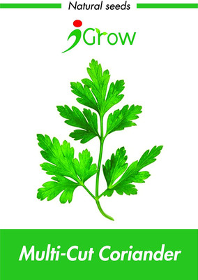 CYBEXIS Multi-Cut Corriander700 Seeds Seed(700 per packet)