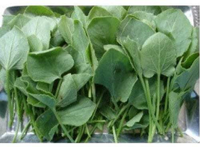 XOLDA Organic chukkakura Seed(27 per packet)