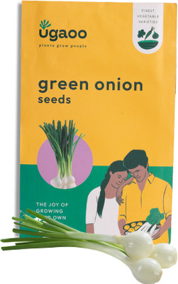 UGAOO Leek or Green Onion Vegetable Seed(2 g)
