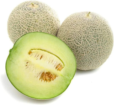 BDSresolve Muskmelon seeds for home gardening PACK OF 72 Seed(72 per packet)