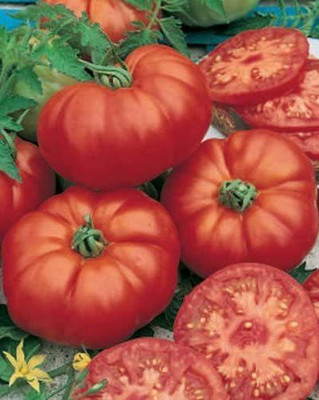 CYBEXIS Heirloom Large Ribbed Tomatoes Seeds2000 Seeds Seed(2000 per packet)