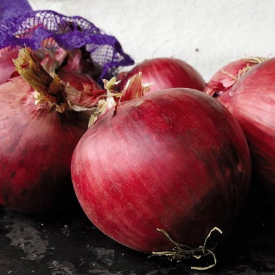 CYBEXIS High Germination Red Onion Seeds2000 Seeds Seed(2000 per packet)