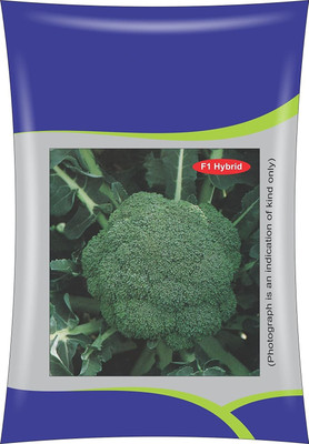 VibeX PAU-79 - Green Hybrid Broccoli - (1350 Seeds) Seed(1350 per packet)