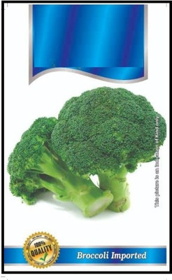 WILLVINE PUAS -II Broccoli Seeds Hybrid Pure and Organic Home Made [2.5g] Seed(750 per packet)