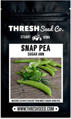 VibeX ® XXL-510 Sugar Ann Snap Pea Seeds Seed(50 per packet)