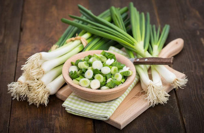 KNESSiN Salad Onion - White Lisbon - Allium cepa Seed(300 per packet)