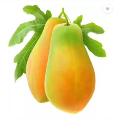 GROW-N-KNOW Taiwan red Lady 786 papaya f1 Seed(108 per packet)