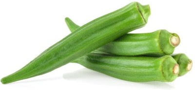 Qualtivate XXX-7A Hybrid Okra (Bhindi) Seeds Seed(350 per packet)