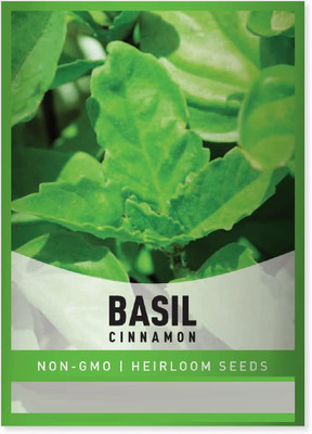 VibeX ® LXI-54 Non GMO Basil Cinnamon Seed(1000 per packet)
