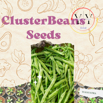YUGAYATRA Cluster Bean Seeds Seed(10 g)