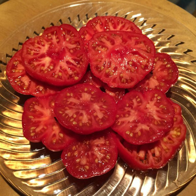 KNESSiN Salad Tomato Seed(500 per packet)