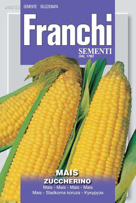 Qualtivate GXL-6AT Italian Heirloom Corn - Sweet Corn - Heritage Seed(400 per packet)