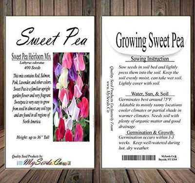 VibeX VXI-36 - Sweet Pea Flower - (300 Seeds) Seed(300 per packet)